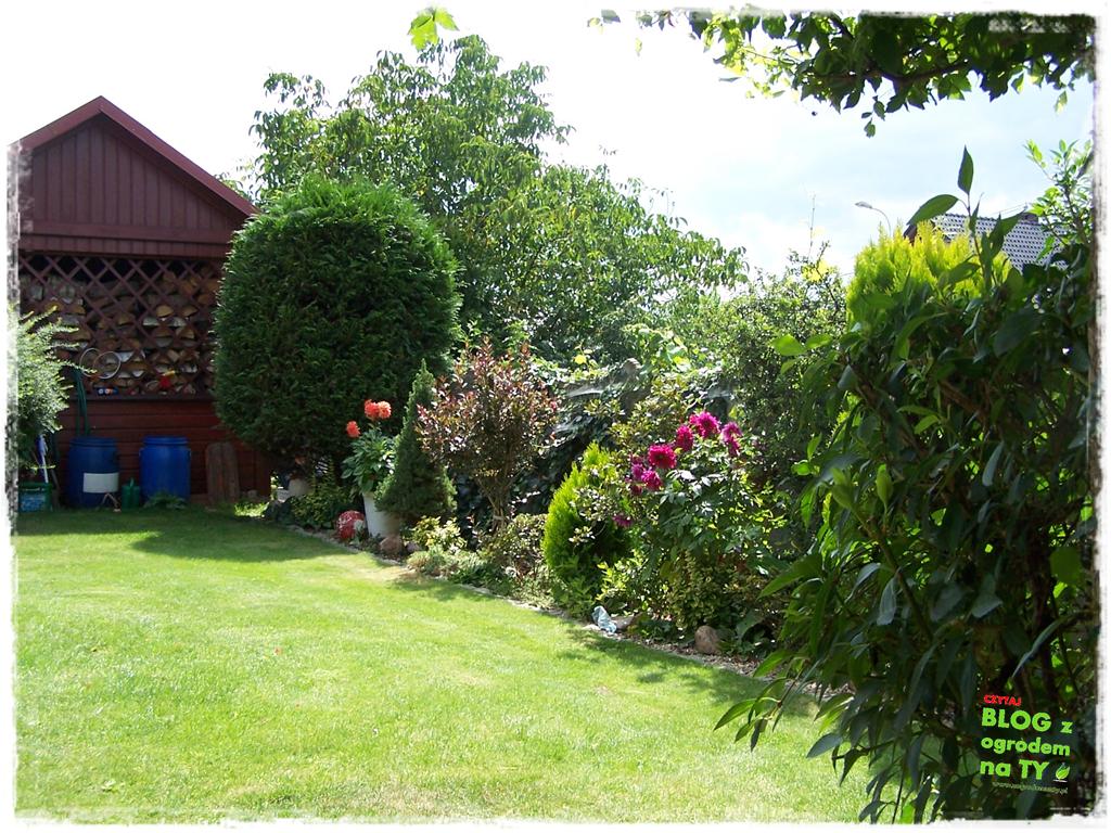 Ogród z dużą ilością gatunków zogrodemnaty36