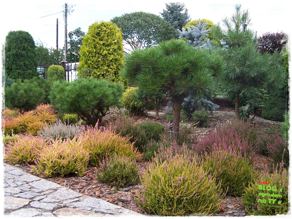 Ogród z dużą ilością gatunków zogrodemnaty9