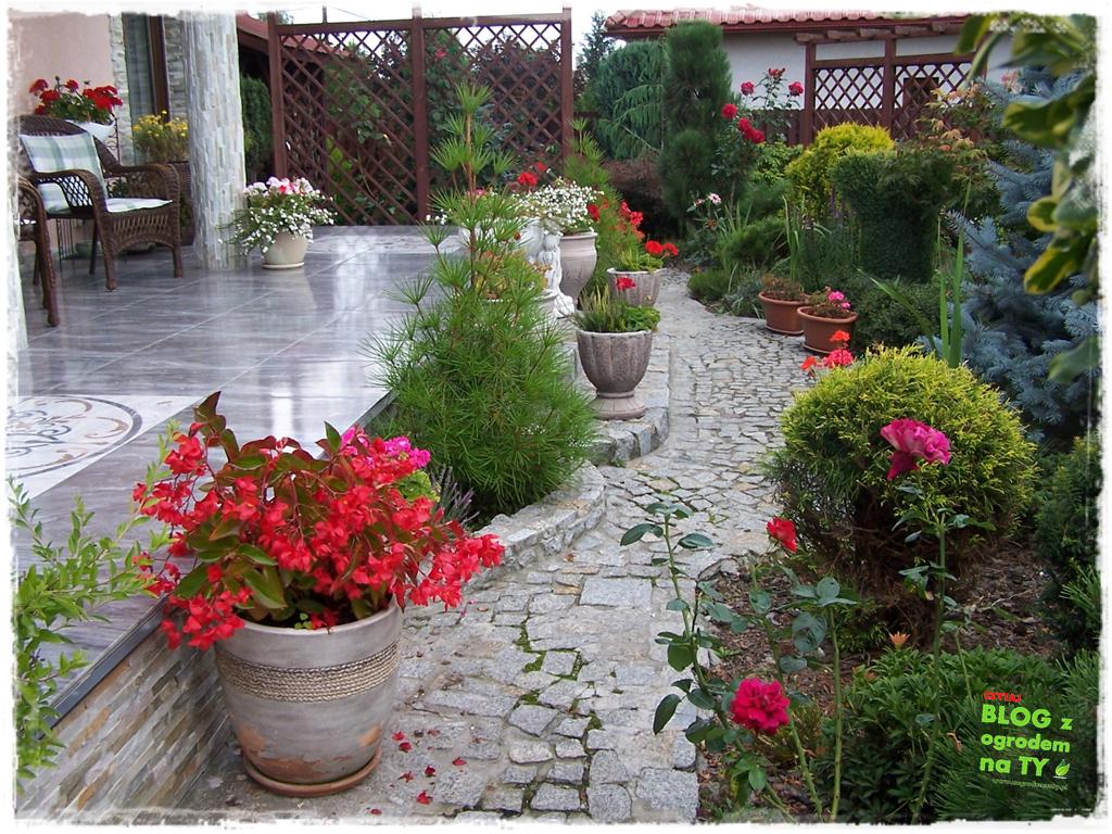 Ogród z dużą ilością gatunków zogrodemnaty15