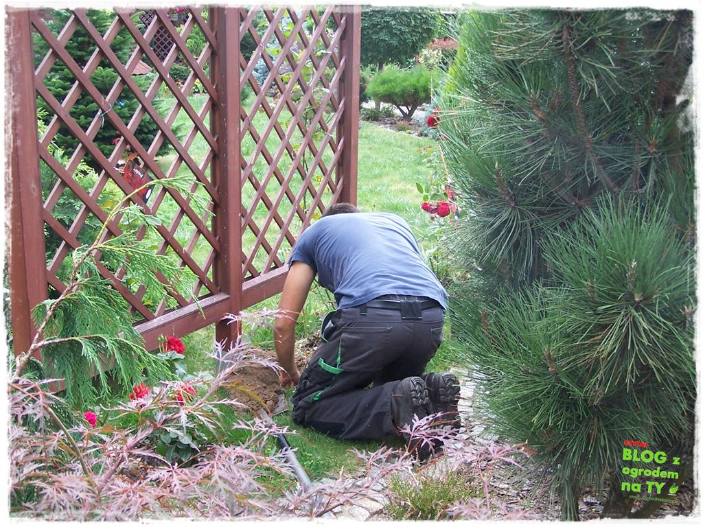 Ogród z dużą ilością gatunków zogrodemnaty17