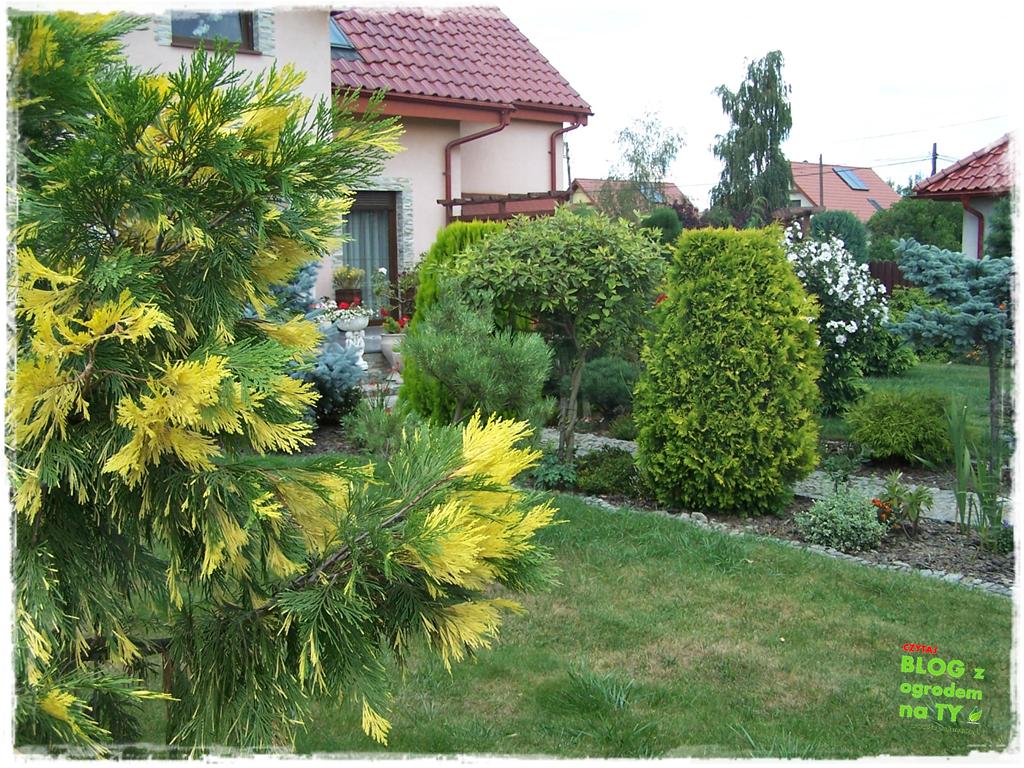 Ogród z dużą ilością gatunków zogrodemnaty12