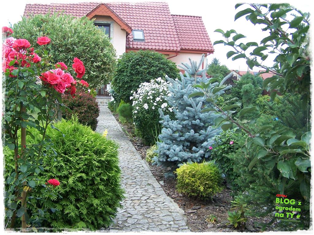 Ogród z dużą ilością gatunków zogrodemnaty5