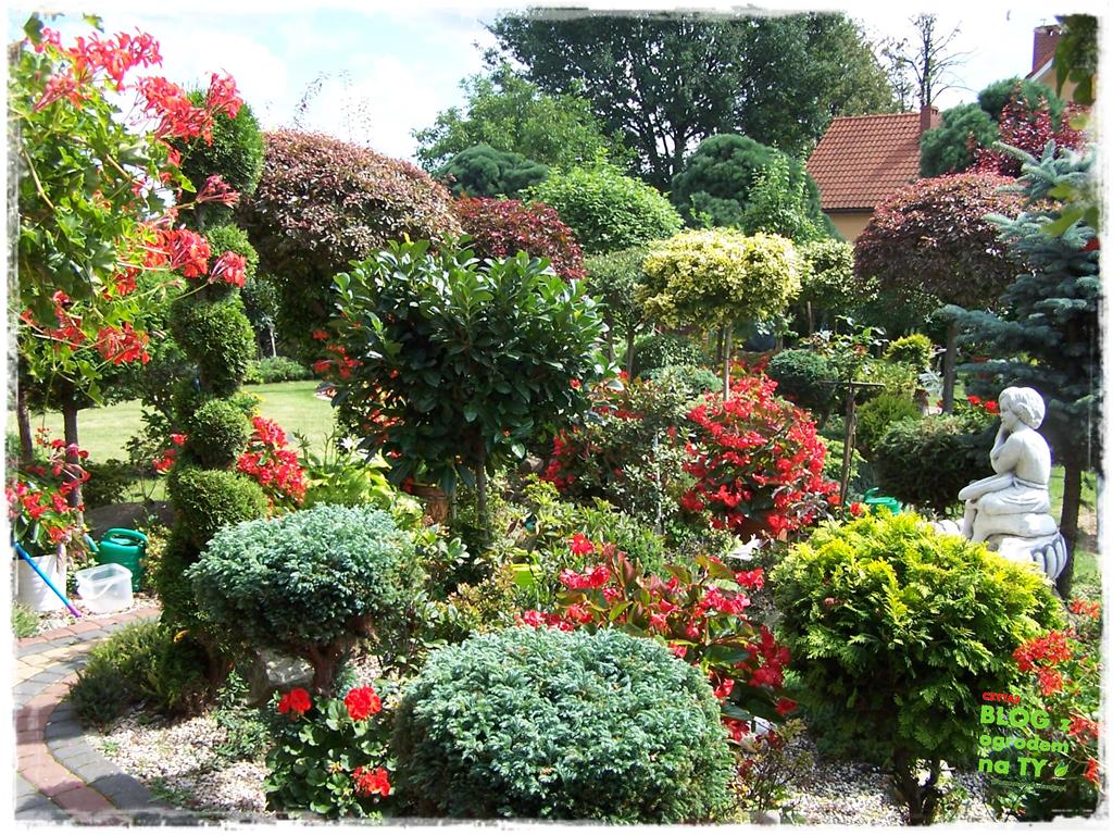 Ogród z dużą ilością gatunków zogrodemnaty26