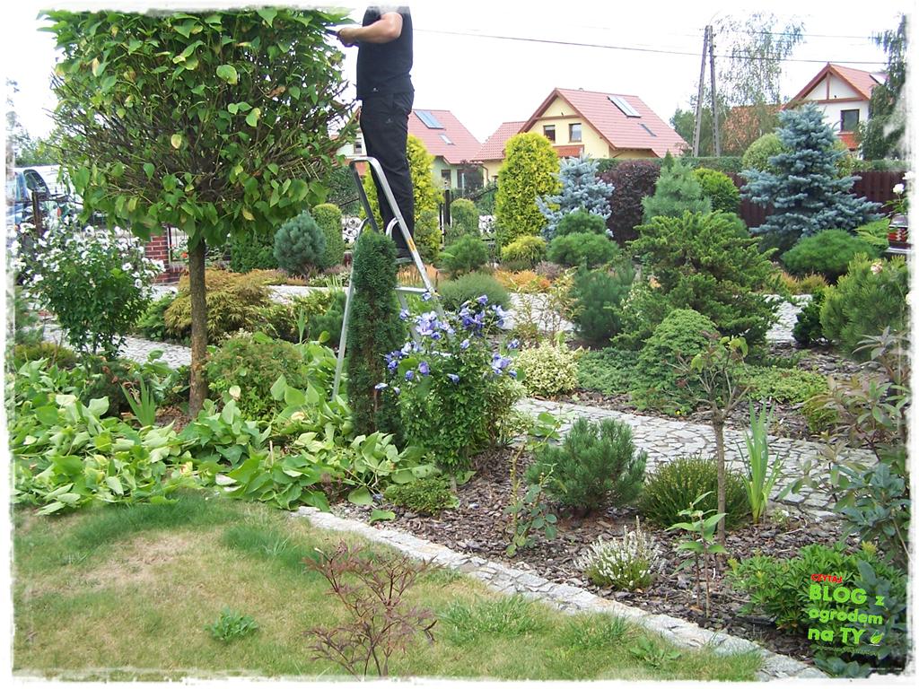 Ogród z dużą ilością gatunków zogrodemnaty13
