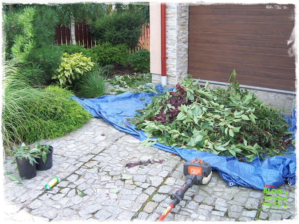 Ogród z dużą ilością gatunków zogrodemnaty14