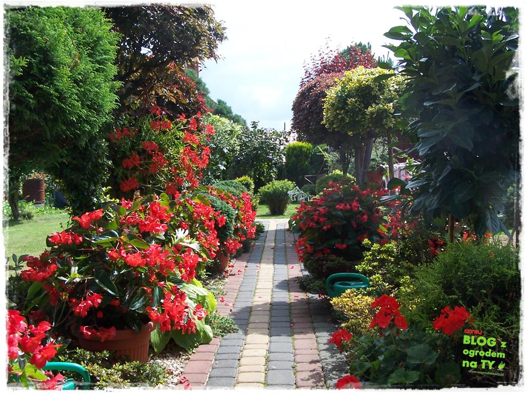 Ogród z dużą ilością gatunków zogrodemnaty31