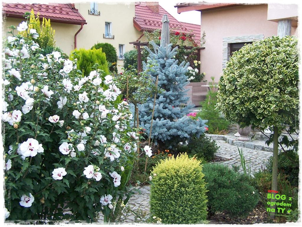 Ogród z dużą ilością gatunków zogrodemnaty3