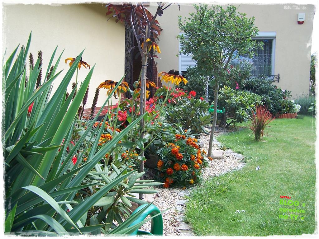 Ogród z dużą ilością gatunków zogrodemnaty34