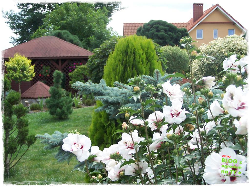 Ogród z dużą ilością gatunków zogrodemnaty22