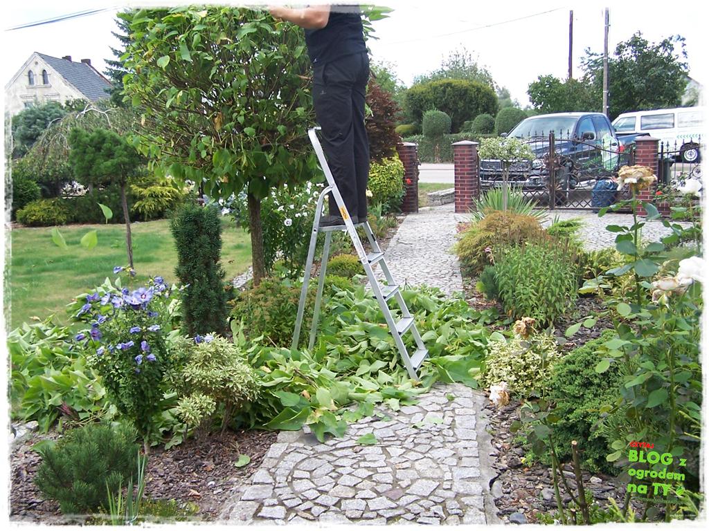 Ogród z dużą ilością gatunków zogrodemnaty7