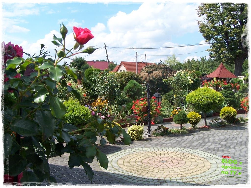 Ogród z dużą ilością gatunków zogrodemnaty38