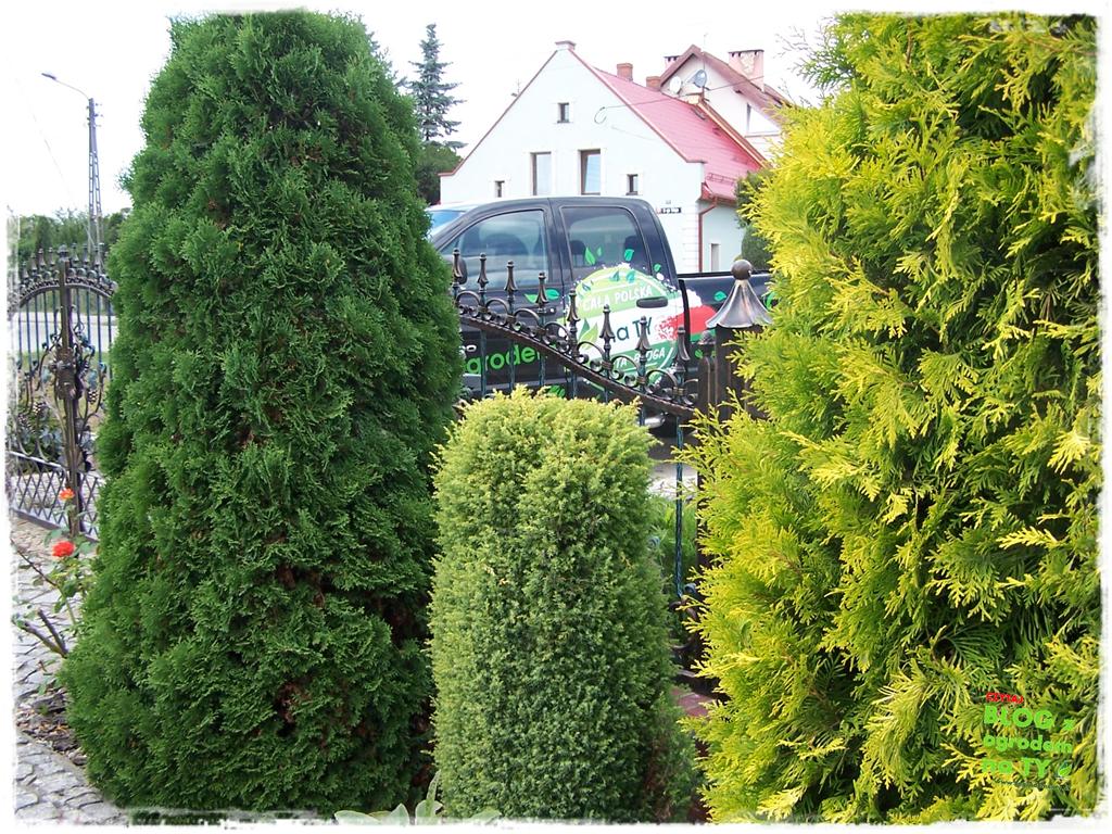 Ogród z dużą ilością gatunków zogrodemnaty19