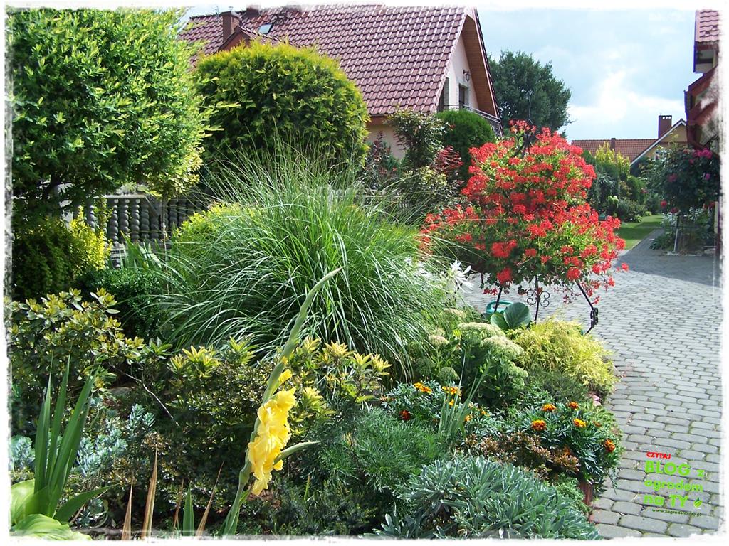 Ogród z dużą ilością gatunków zogrodemnaty35