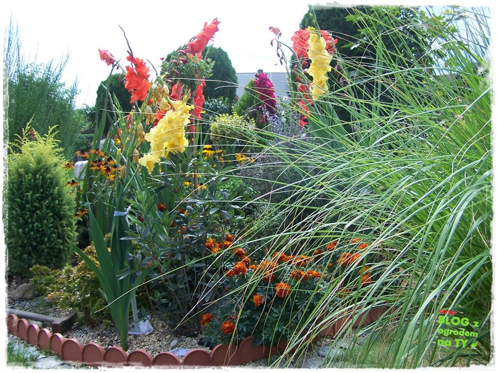 Ogród z dużą ilością gatunków zogrodemnaty27