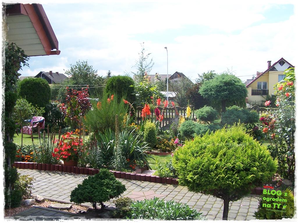 Ogród z dużą ilością gatunków zogrodemnaty33