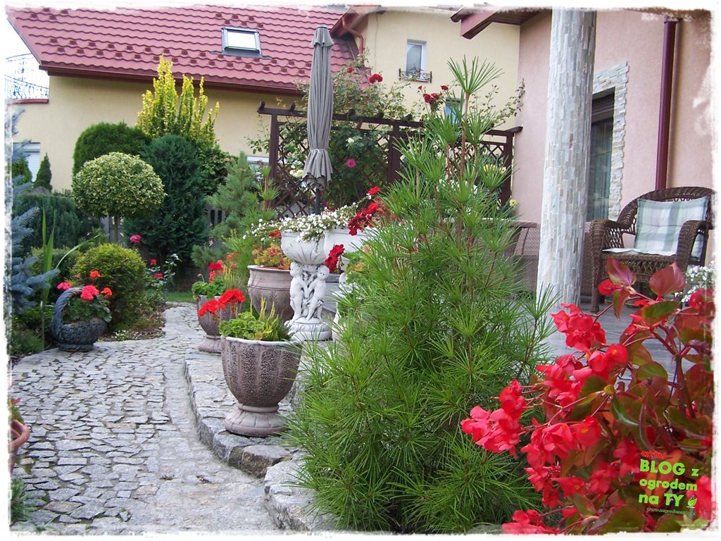 Ogród z dużą ilością gatunków zogrodemnaty2