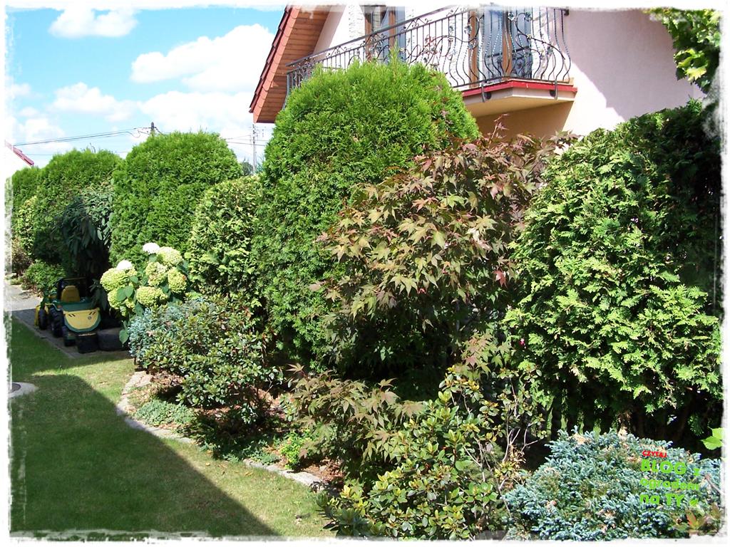 Ogród z dużą ilością gatunków zogrodemnaty32