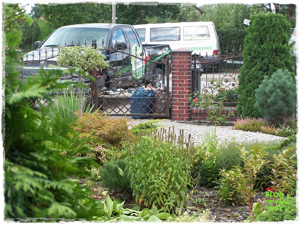 Ogród z dużą ilością gatunków zogrodemnaty11