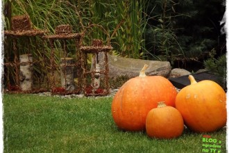 10535ba1b3e2617aeb3a48775234dcf0