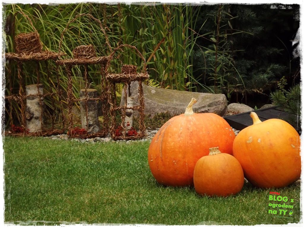 10535ba1b3e2617aeb3a48775234dcf0