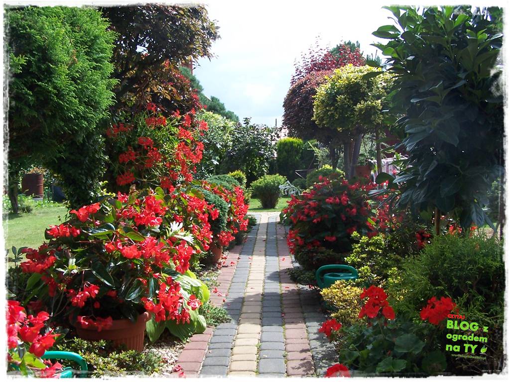 donice ogrodowe zogrodemnaty11