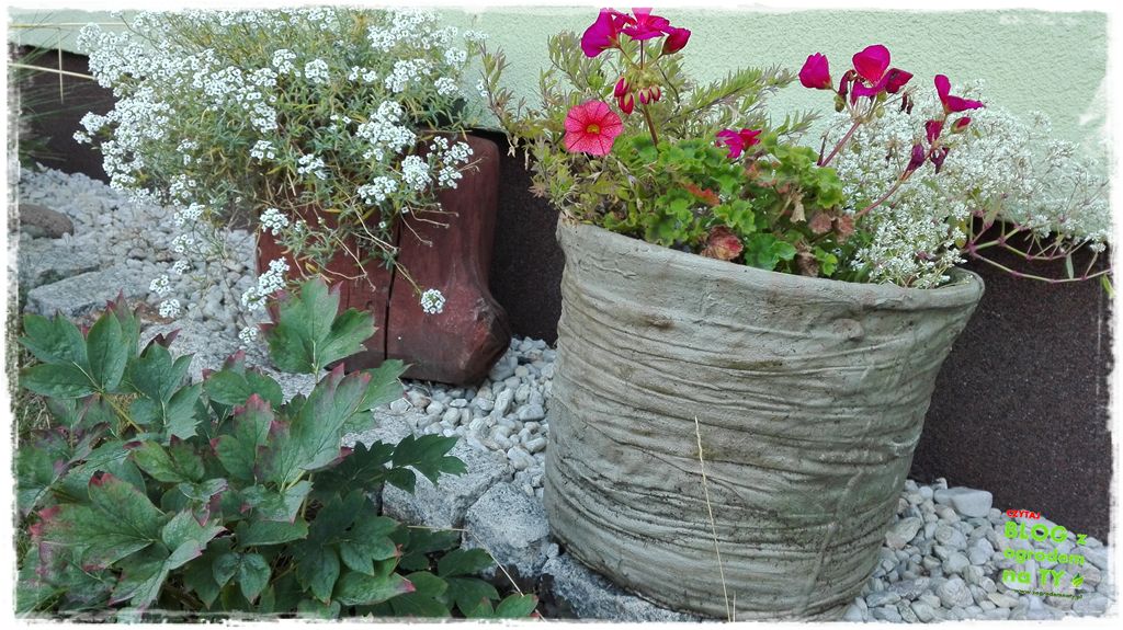 donice ogrodowe zogrodemnaty16