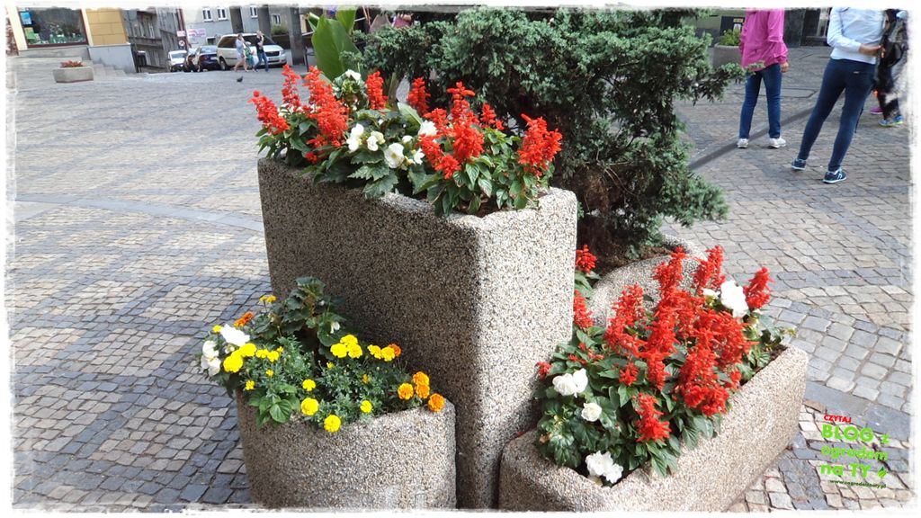 donice ogrodowe zogrodemnaty17