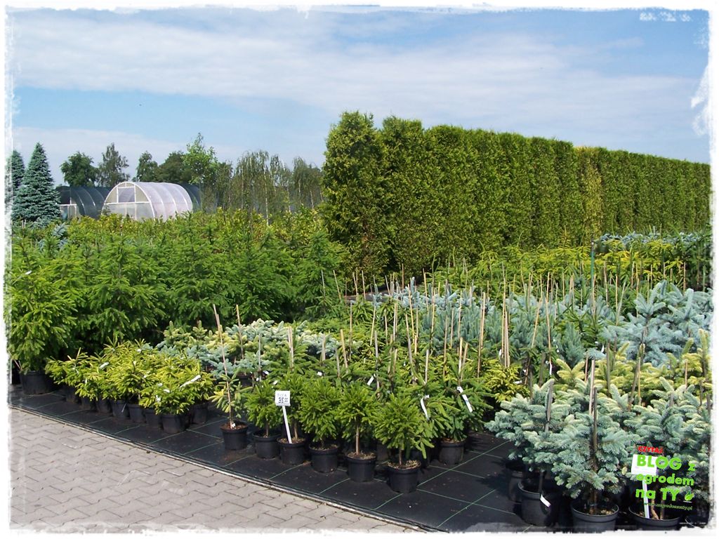 donice ogrodowe zogrodemnaty2