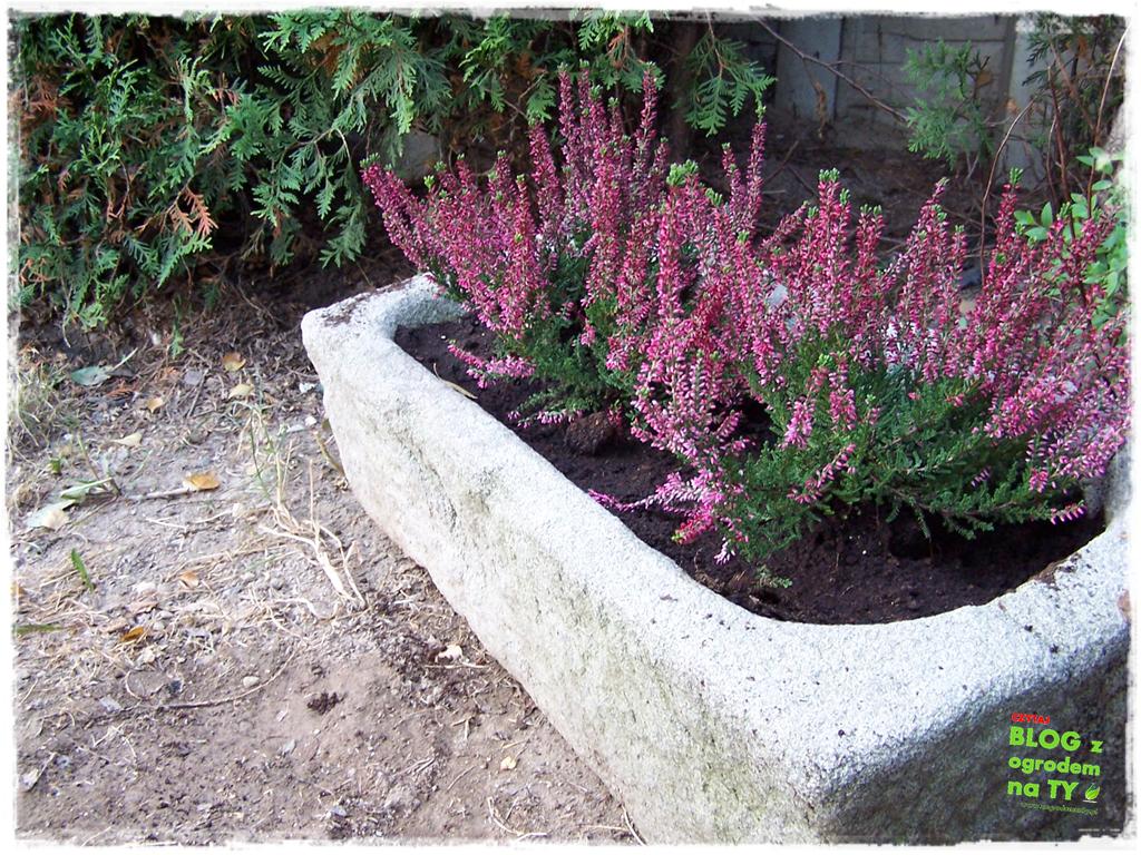 donice ogrodowe zogrodemnaty24