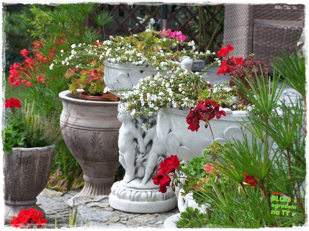 donice ogrodowe zogrodemnaty26