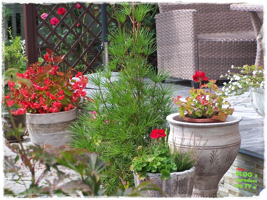 donice ogrodowe zogrodemnaty29