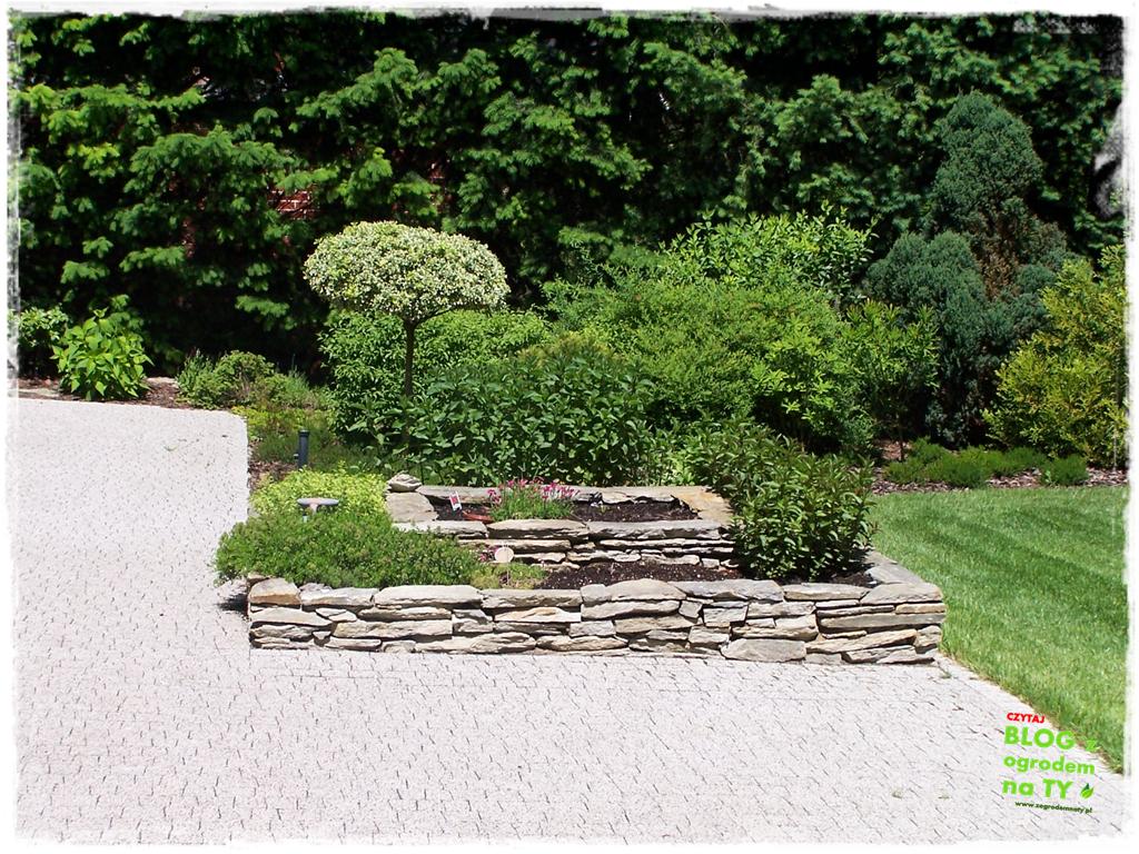 donice ogrodowe zogrodemnaty31