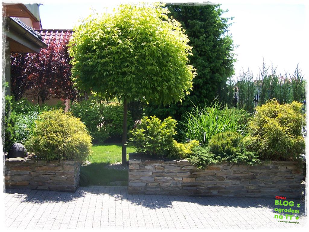 donice ogrodowe zogrodemnaty32