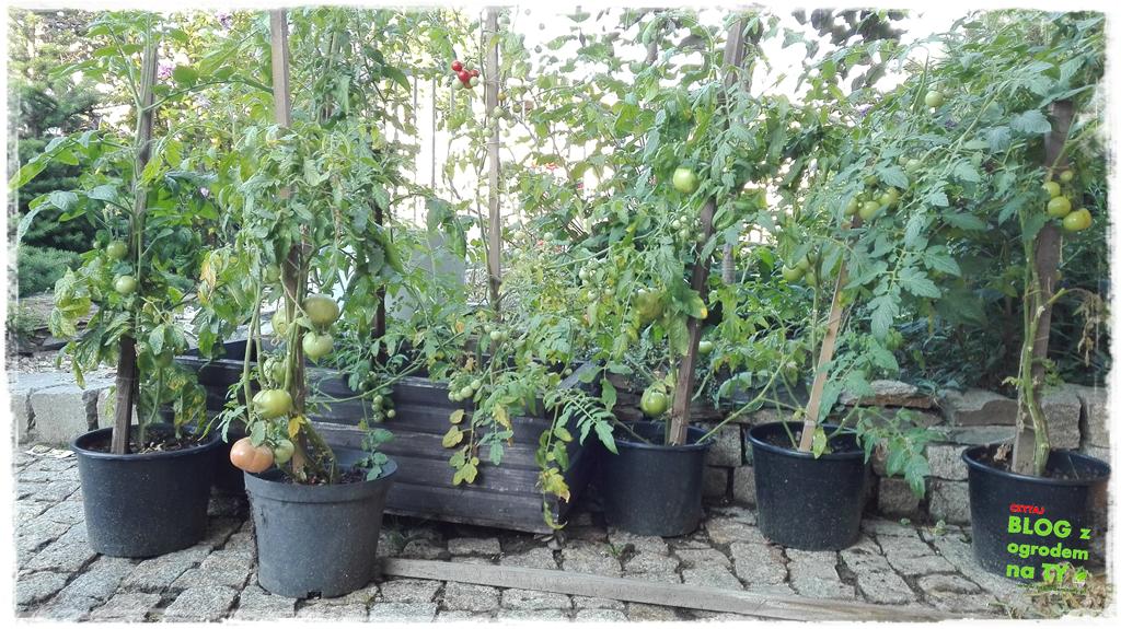 donice ogrodowe zogrodemnaty35