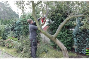 9560ef2f568c4ee52e62538fabce7a9d