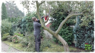 9560ef2f568c4ee52e62538fabce7a9d