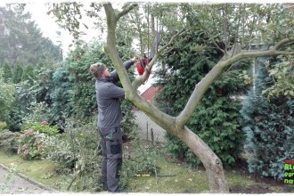 9560ef2f568c4ee52e62538fabce7a9d