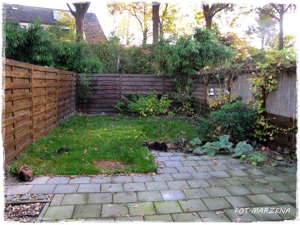 Metamorfoza ogrodu zogrodemnaty1