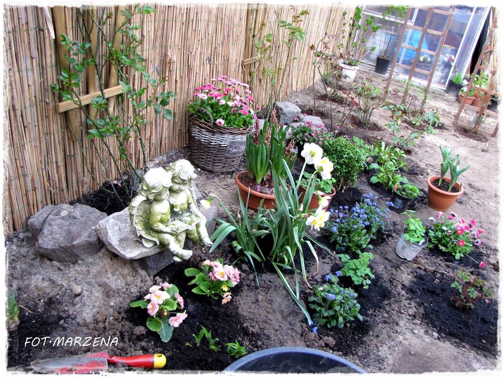 Metamorfoza ogrodu zogrodemnaty11
