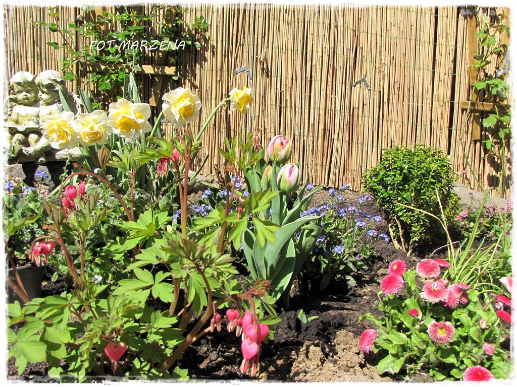 Metamorfoza ogrodu zogrodemnaty12