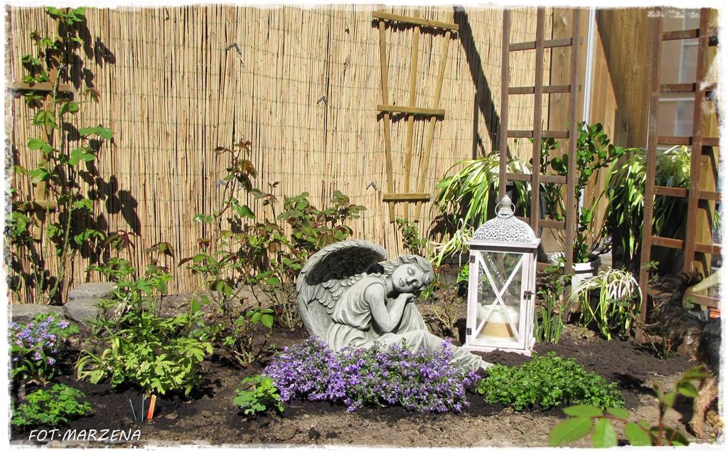 Metamorfoza ogrodu zogrodemnaty13