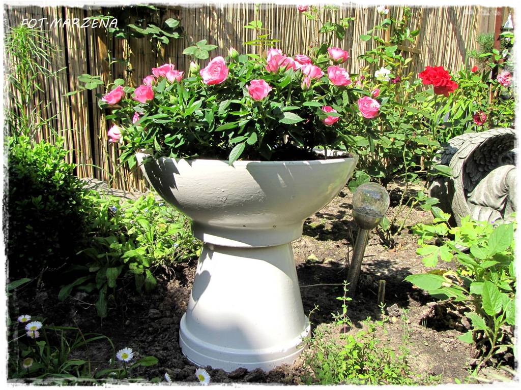 Metamorfoza ogrodu zogrodemnaty15