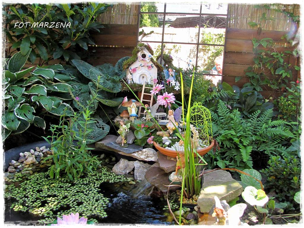 Metamorfoza ogrodu zogrodemnaty17