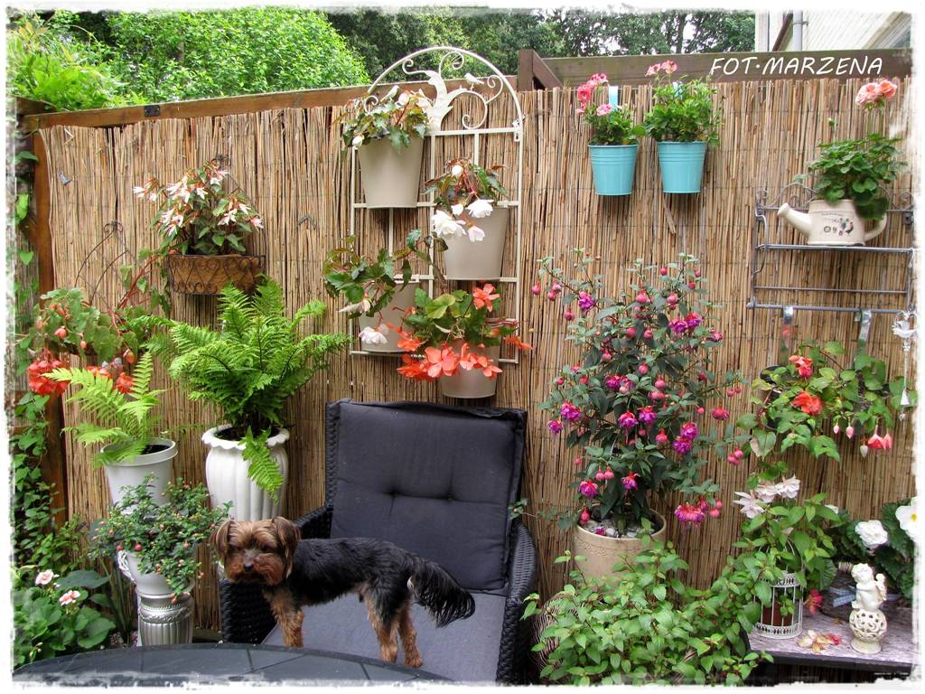 Metamorfoza ogrodu zogrodemnaty18