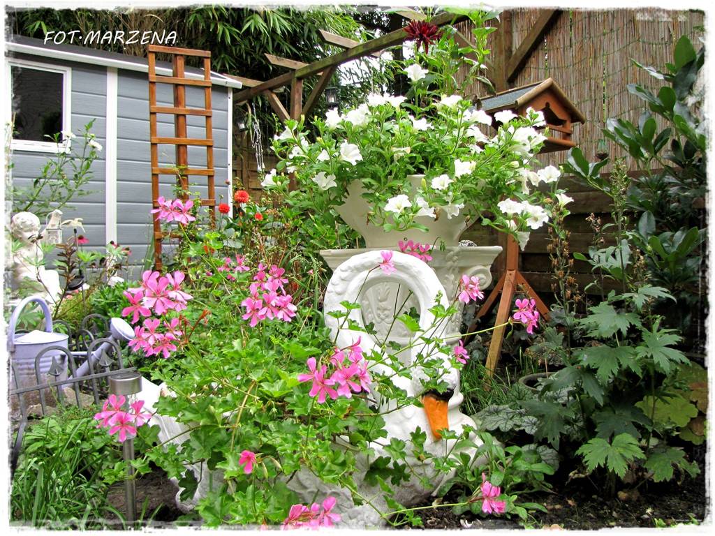 Metamorfoza ogrodu zogrodemnaty19