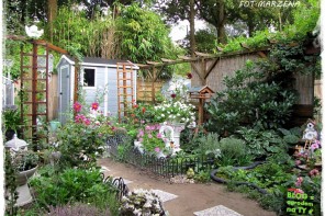 Metamorfoza ogrodu zogrodemnaty20