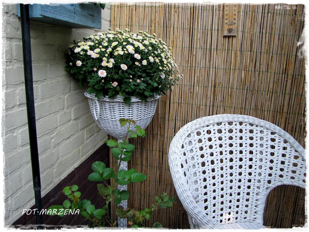 Metamorfoza ogrodu zogrodemnaty21