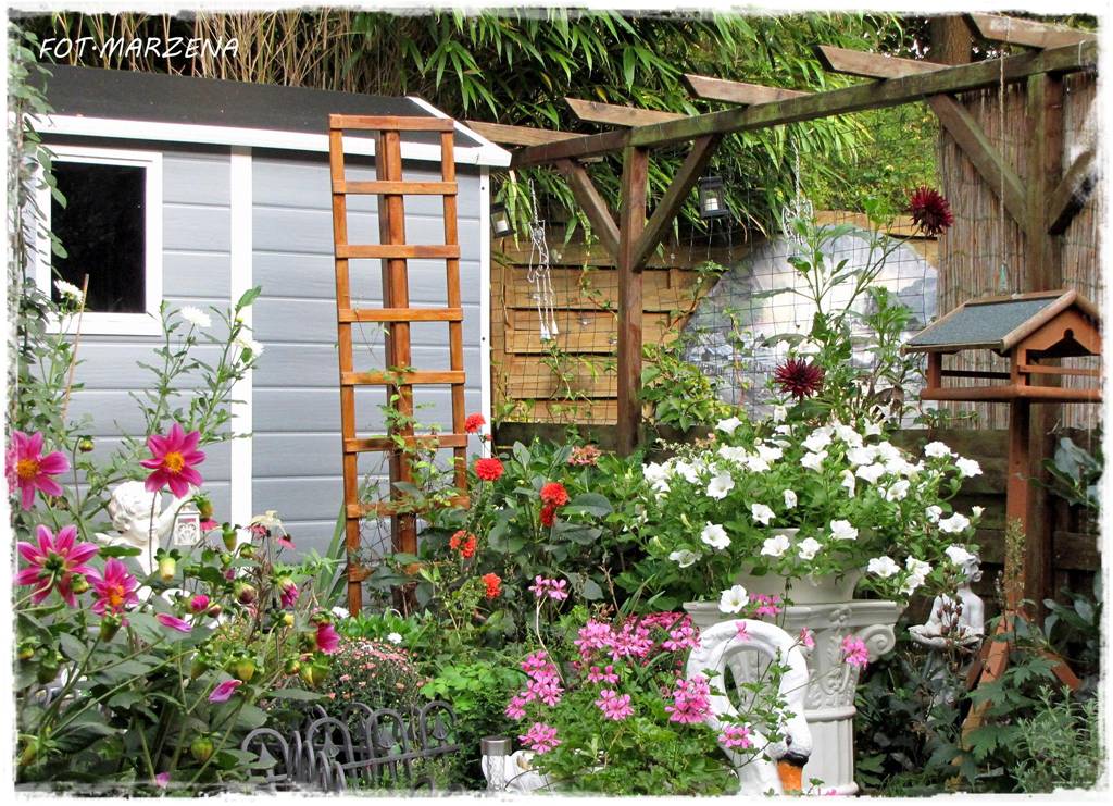 Metamorfoza ogrodu zogrodemnaty22