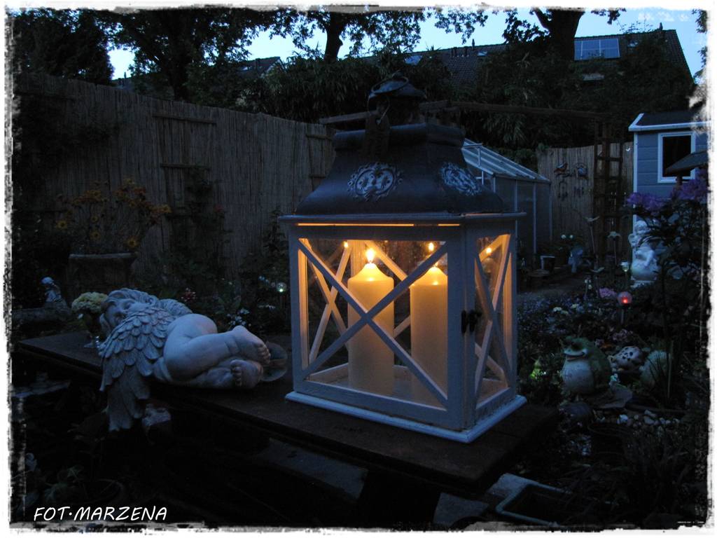 Metamorfoza ogrodu zogrodemnaty23
