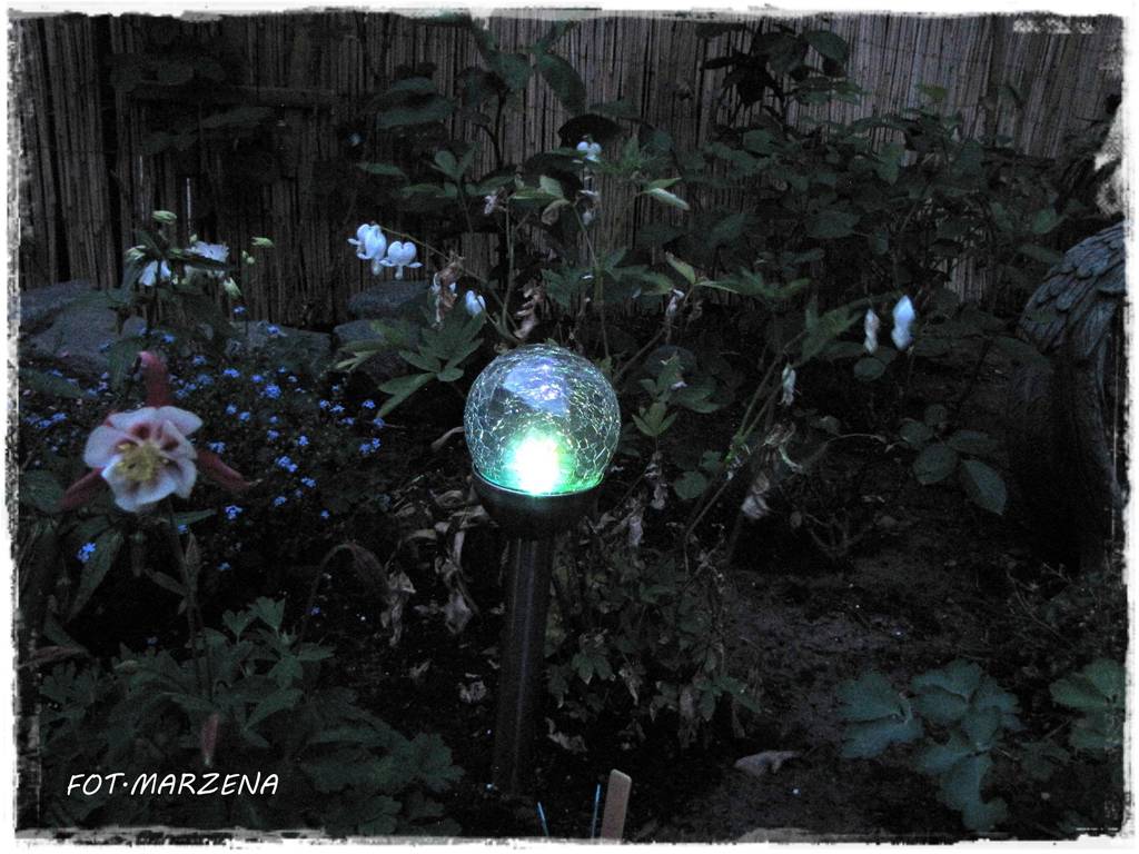 Metamorfoza ogrodu zogrodemnaty24